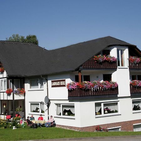 Landhaus Behle Willingen  Exterior foto